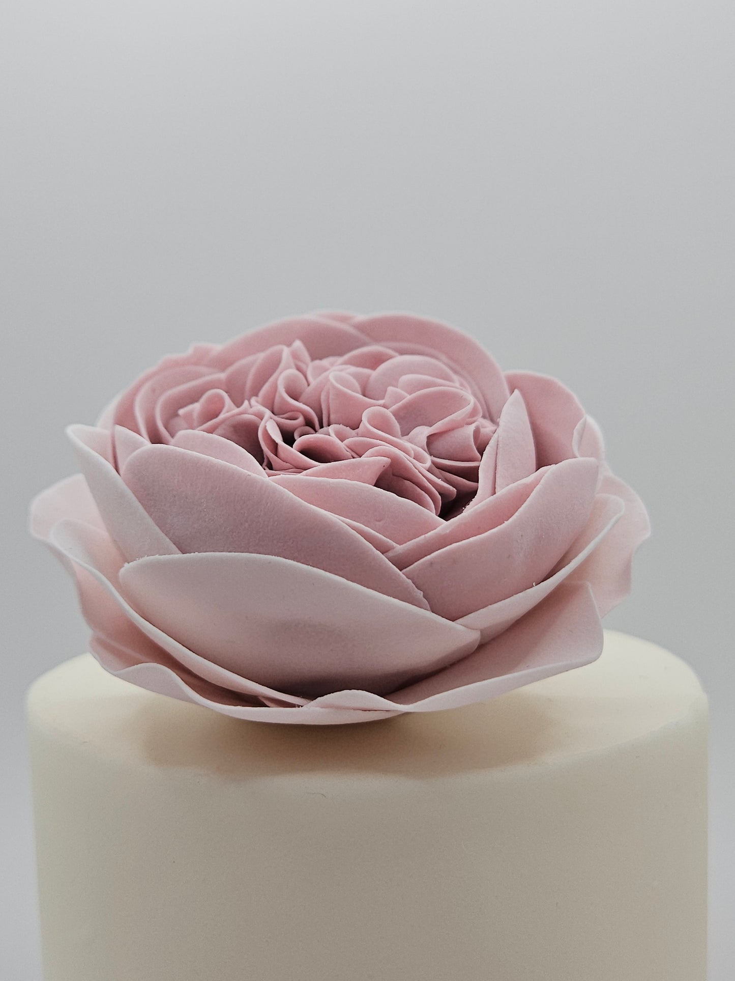 Englische Rose - Altrosa