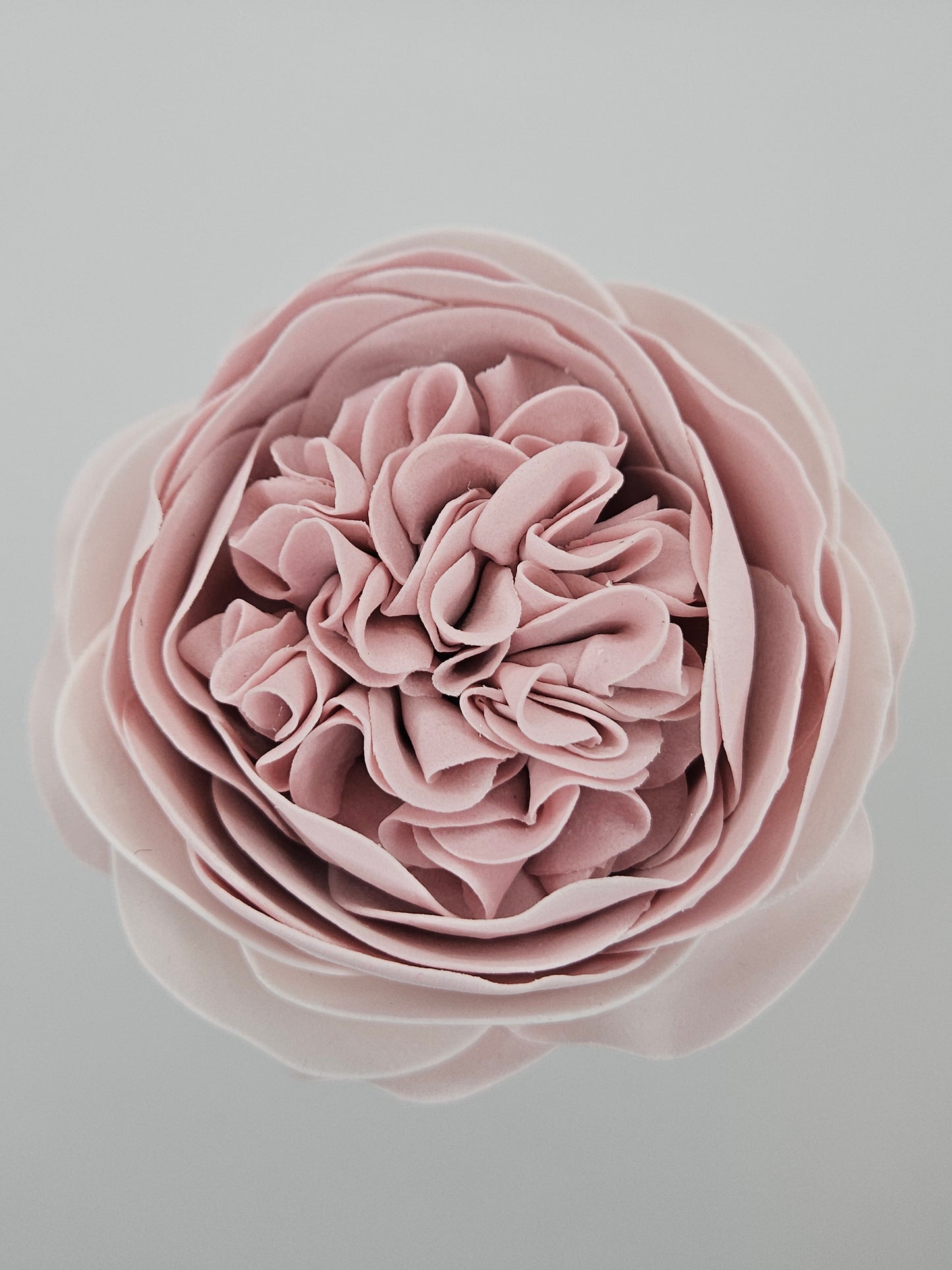 Englische Rose - Altrosa